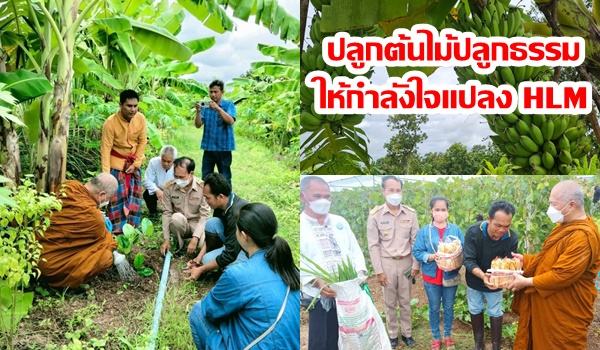 “เจ้าคุณ โคก หนอง นา” ปลูกต้นไม้ปลูกธรรม ให้กำลังใจแปลง HLM 3  แห่ง ด้วยหลัก “บวร”