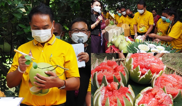 ผู้ว่าฯศรีสะเกษ ชวนชิมส้มโอหวานในงานเทศกาลส้มโอตาโกนและของดีอำเภอเมืองจันทร์