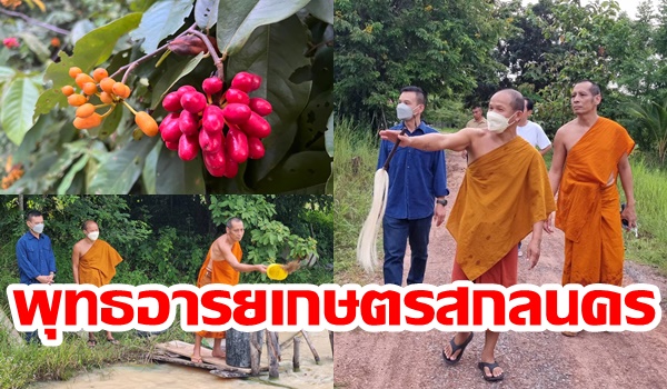 หัวหน้าสำนักงานสกลนคร เยี่ยมชมพุทธอารยเกษตรสกลนคร ขอคำปรึกษาแก้จนตามแนวพอเพียง