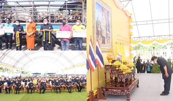 “ประภัตร “เปิดงานคลินิกเกษตรเคลื่อนที่ในพระราชานุเคราะห์ฯ มอบโค–กระบือ 108 ตัว เกษตรกรสุพรรณบุรี